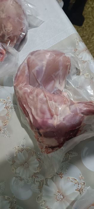 Продам мясо кролика