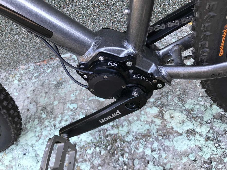 +MTB-XC29rMusing Twenty nine Pinion P1.18 29", 19"+