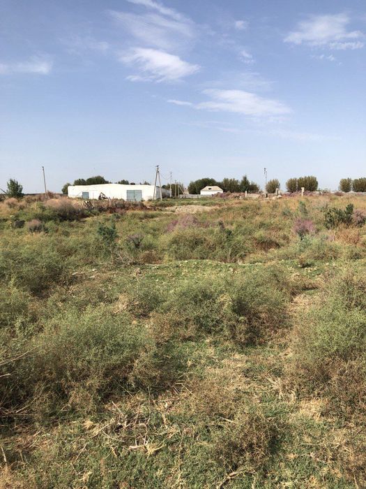 Oqoltinda yer uchastka sotiladi