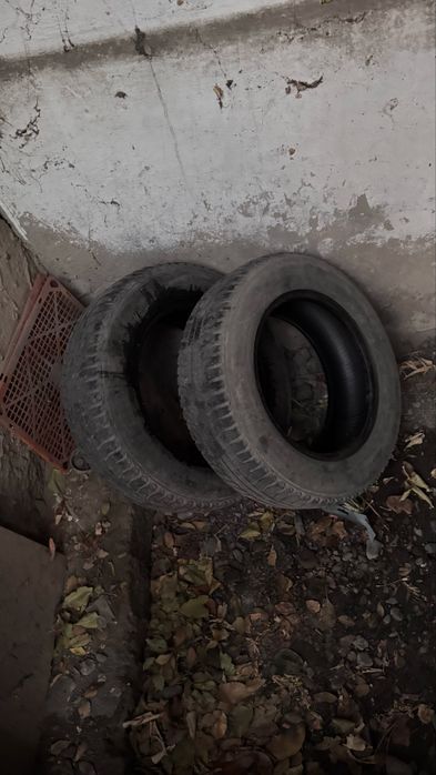 Зимняя резина ANTEL