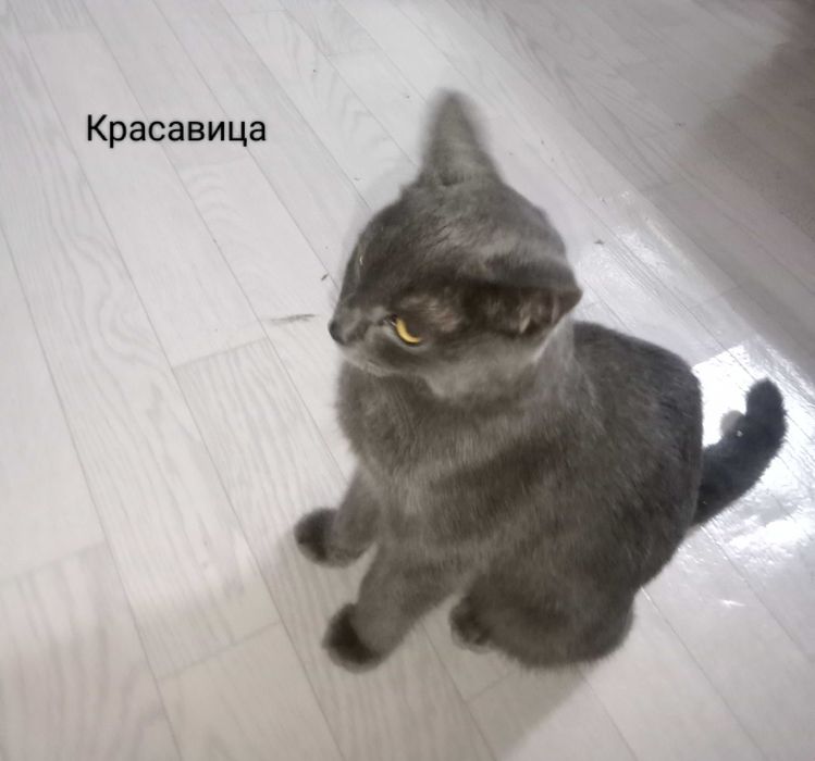 Город Жанатас 1 микрайоне