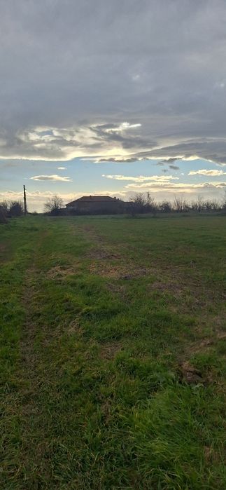 продавам  упи село Найден Герово