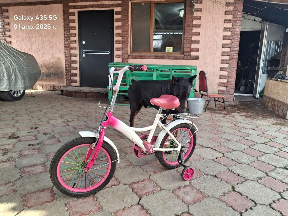 Продам детский велосипед