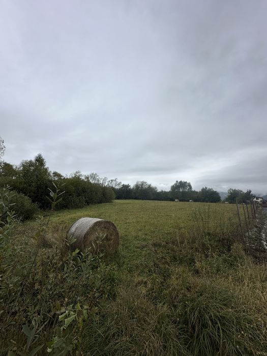 Teren intravilan 5.017 mp in Cisnadie, Sibiu