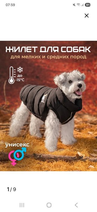 Жилет для собак утепленный