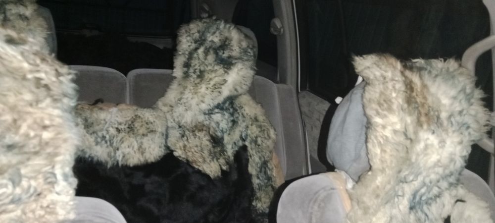 Продам машину Минивэн 7ми местный автомобиль