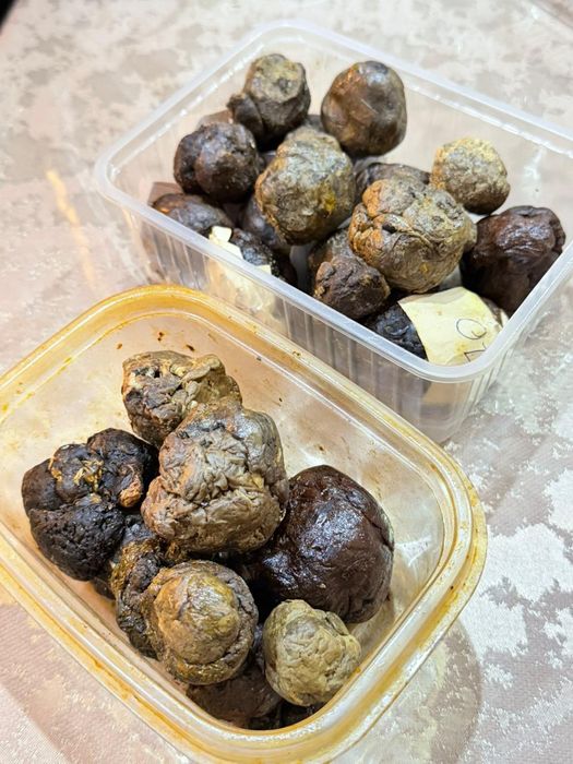 Прополис пчелиный