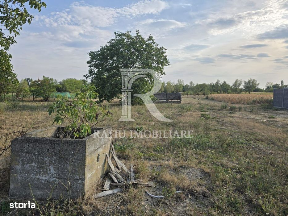 Teren intravilan 6.514mp | 39m front stradal | Ciocaia, Săcuieni