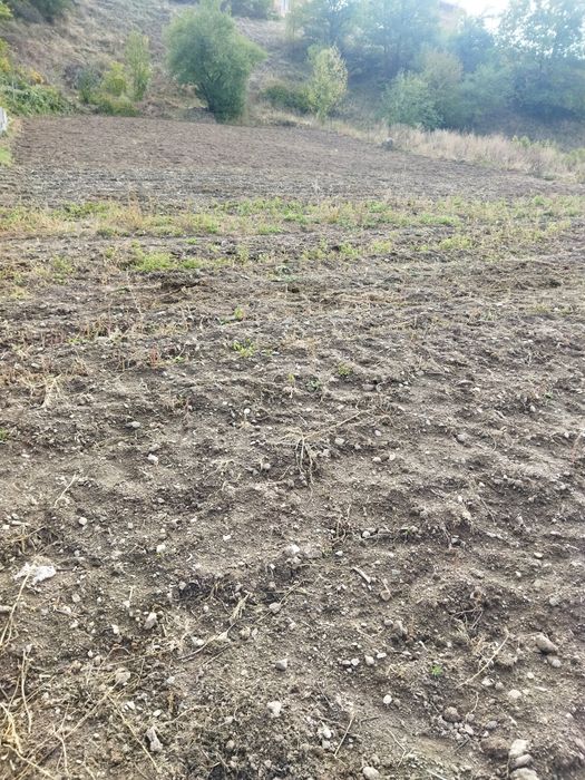 Продава се Парцел в Смолян, Стар център - 1440 кв.м за 75 €/кв.м - Снимка #7