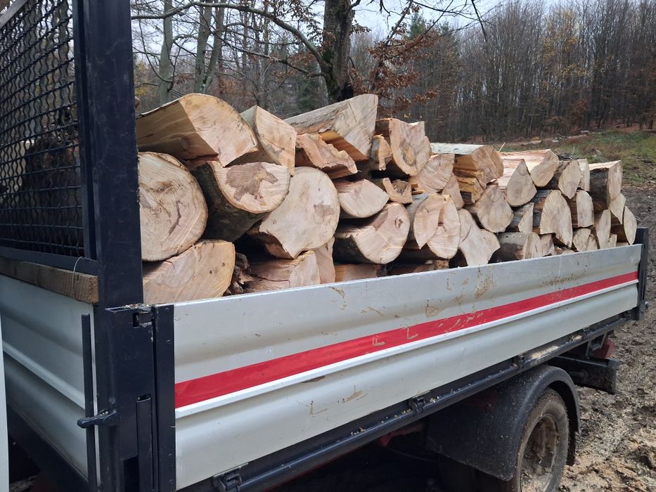 Lemne de foc verzi si uscate