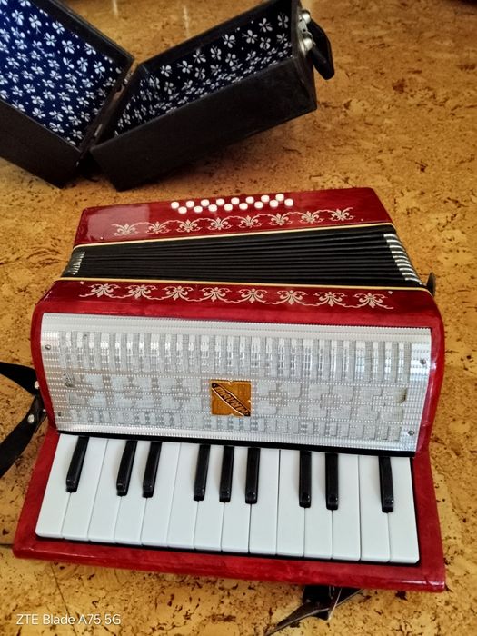 Детски акордеон 4+