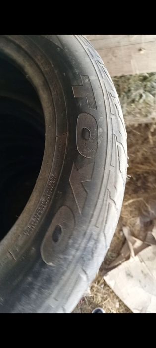 Шины Toyo Proxes R19