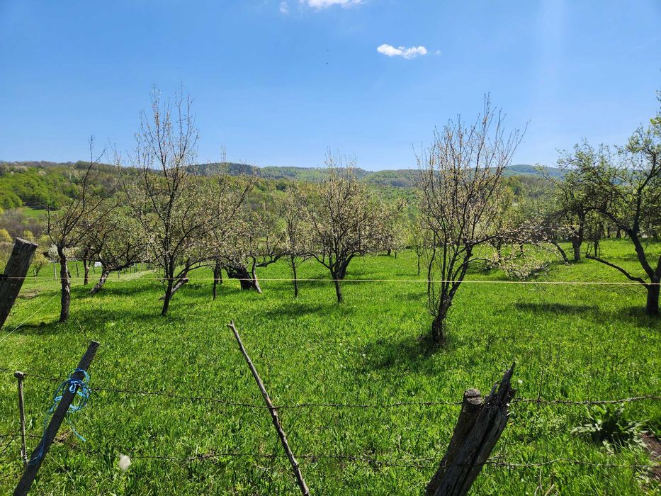 Vand teren 16000 mp intravilan/extravilan in zona Valenii de Munte jud. Prahova