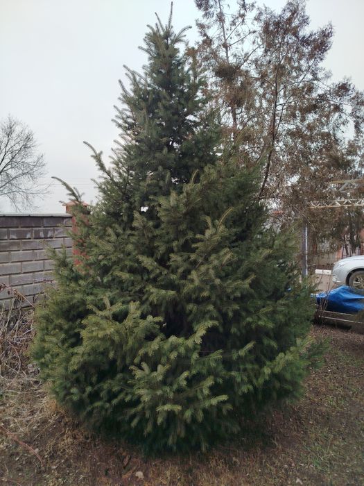 Лвррофддыоыововововоао