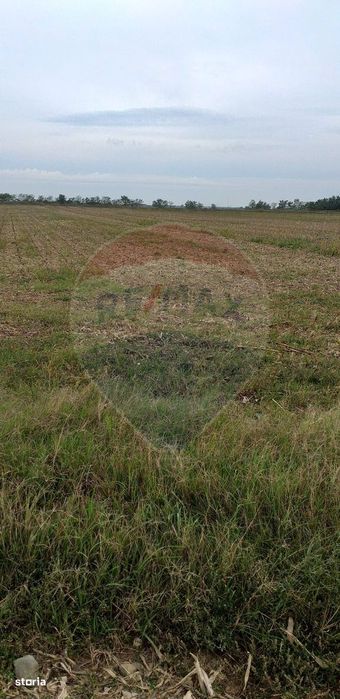 Teren extravilan 3000mp de vânzare la Sântion