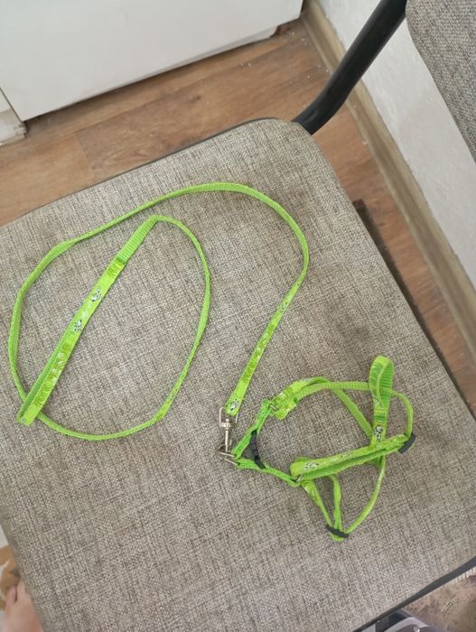 Шлейка для собак и кошек