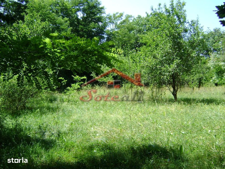 Teren de vanzare in Cornu 1585 mp - Negociabil