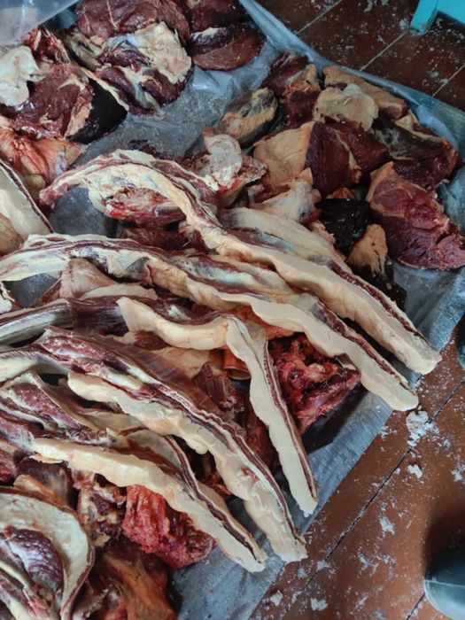 Продам мясо конина