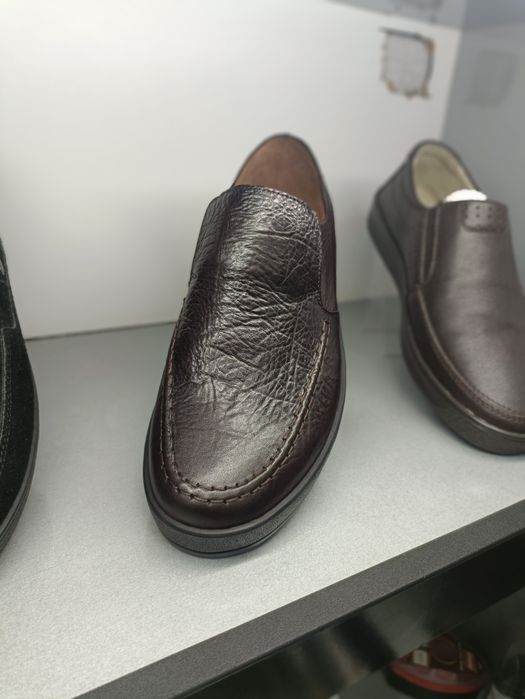 Саламандер качество проверено