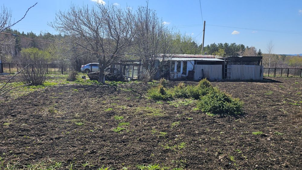 Продам дачу в с.Зеленый бор