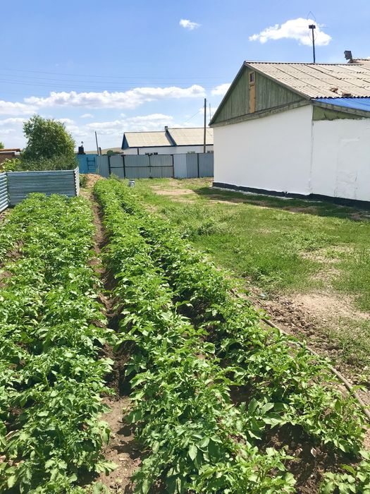 Дом продам или обмен