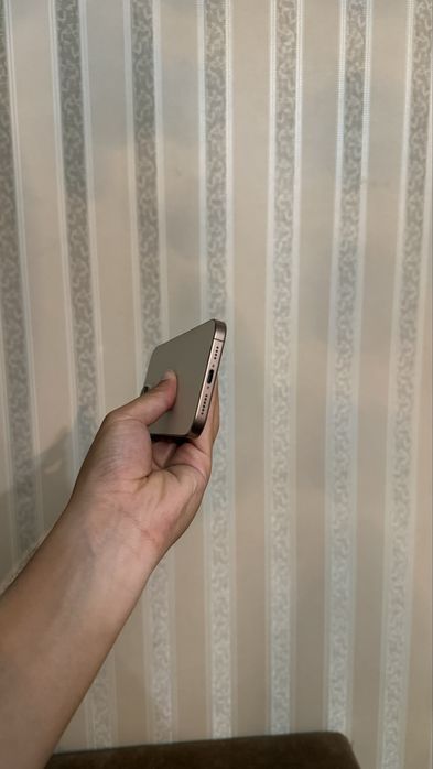 iPhone 16 Pro Max 256 GB sim