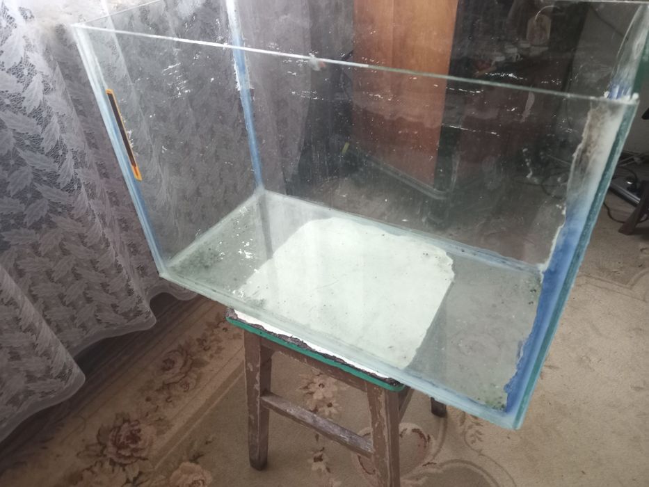 Acvariu pentru pești