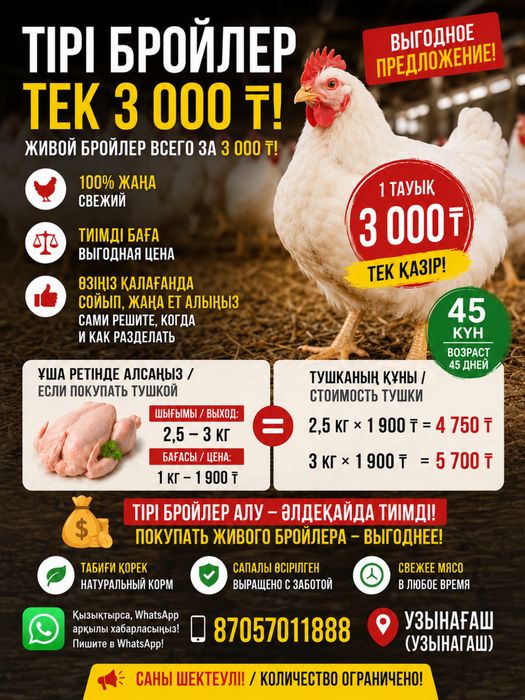 Куры по 3000 тг