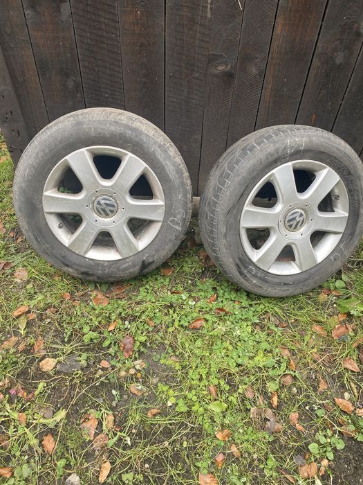 Jenti pentru w pasat  pe 16