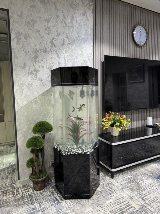 Профессиональная чистка и обслуживание аквариумов