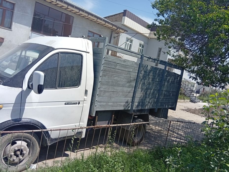 Газел зур холатда