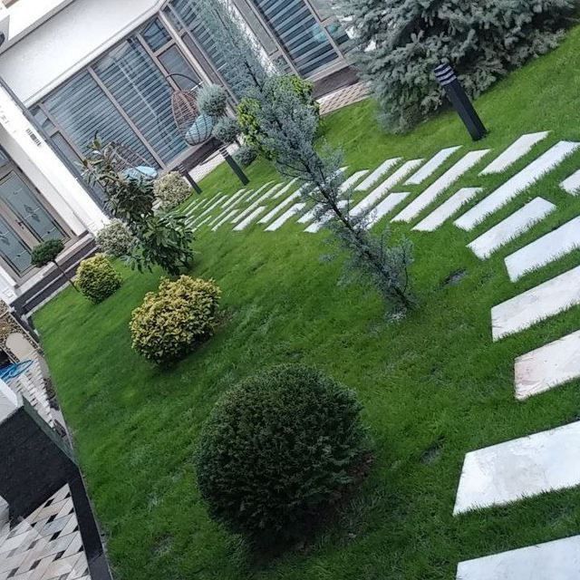 tayyor gazon o’rnatamiz landshadt qilamiz укладка газона ташкенте