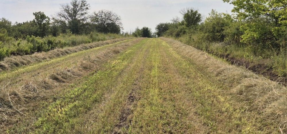 Producator-Baloti PAIE de GRÂU si ORZOAICĂ