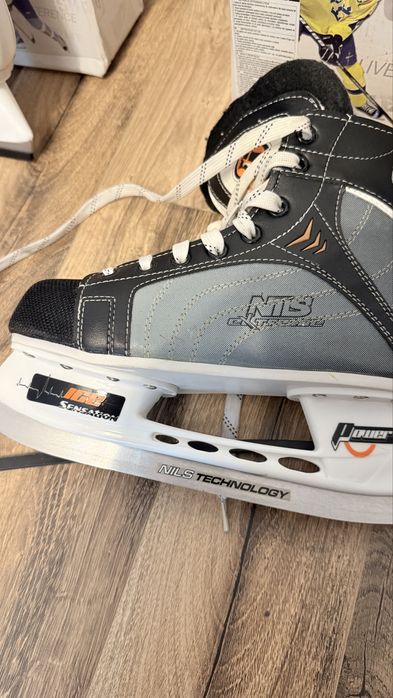 Patine gheata  hochei