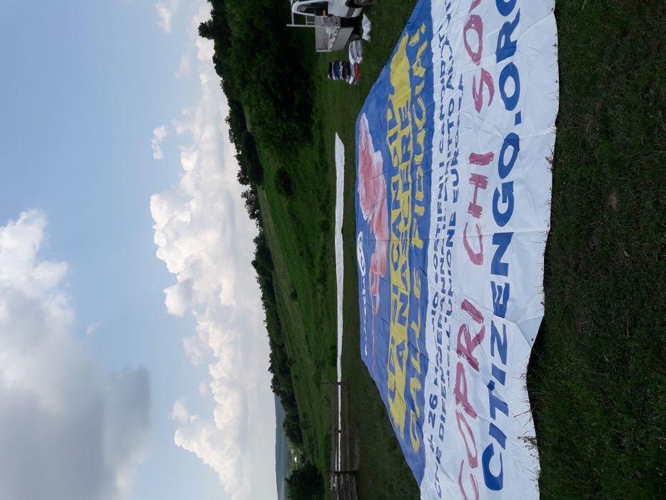 Prelati panzate si cauciucate