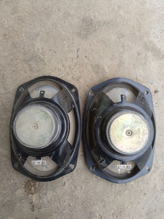 Kalonka qovun pioneer