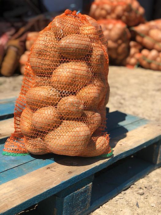 Cartofi pentru consum