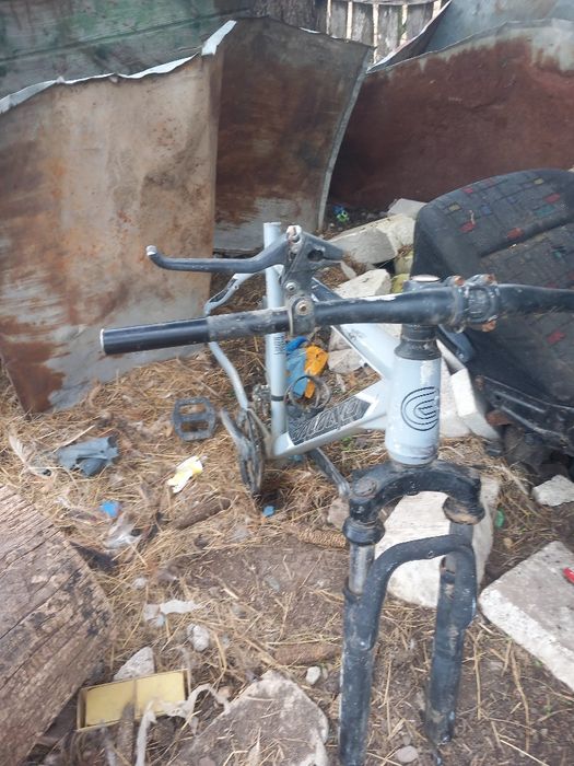 Cadru bicicleta + jante cu spițe groase