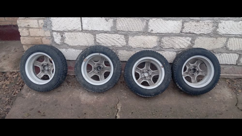 Статус зимний ризина 120 мың