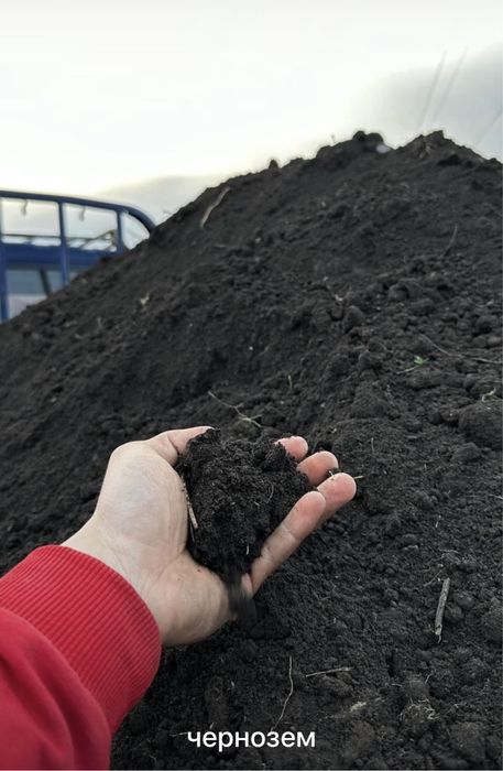 Черназем перегной