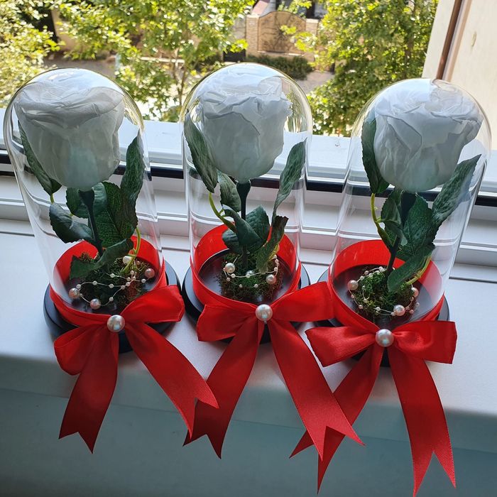 Cupola cu trandafiri conservati criogenati