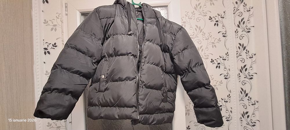 Vand geci 80 de lei bucata