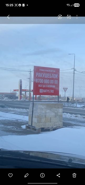 Ракушеблок Бейнеуский.