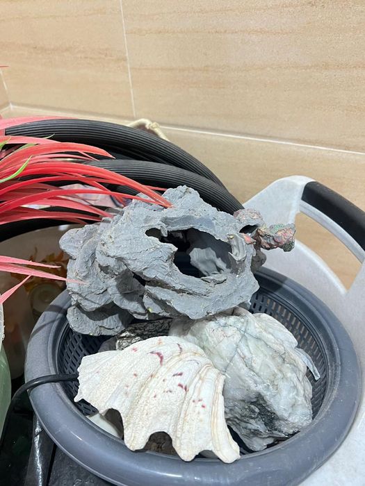 Аквариум для рыб