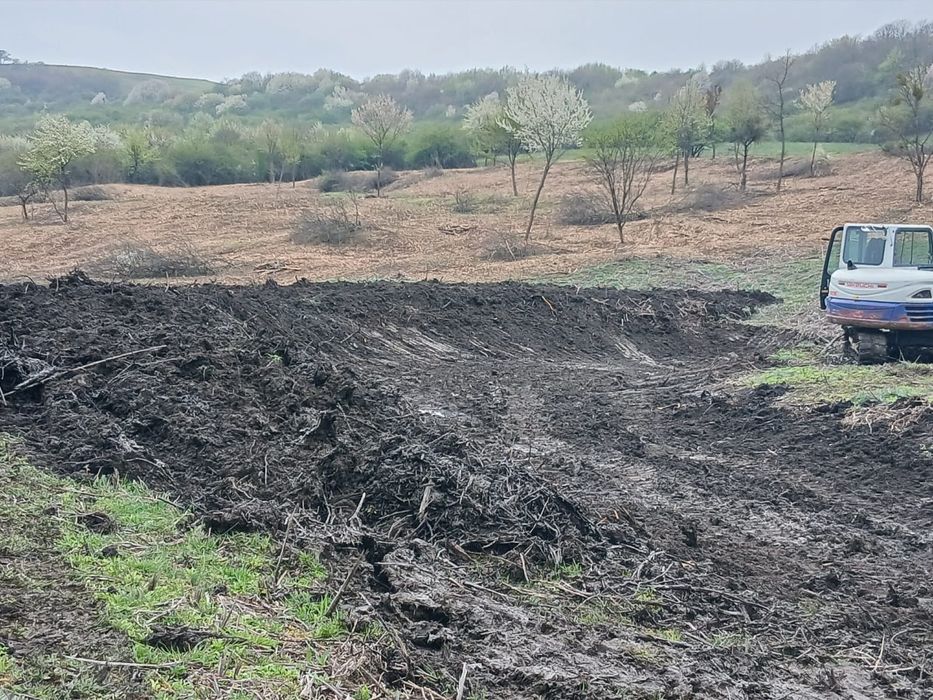 Curatam Defrisam terenuri