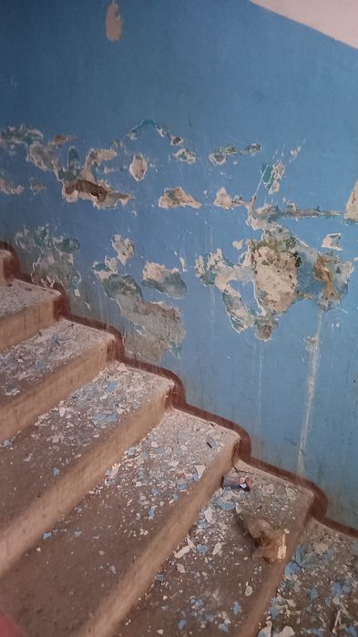 Ремонт подъездов,обои