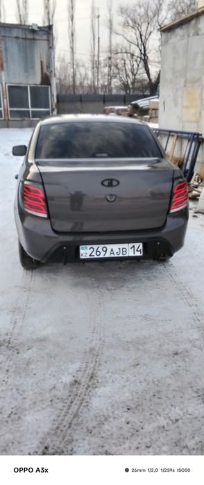 Продам гранту живая