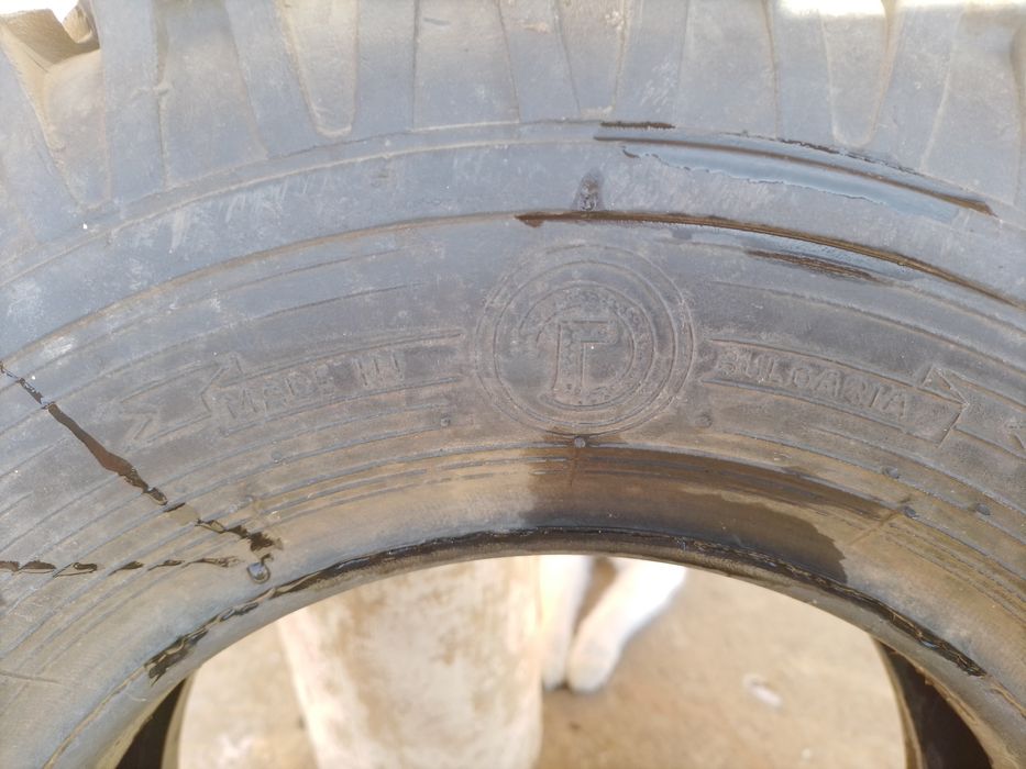 Шина Беларус для погрузшиков