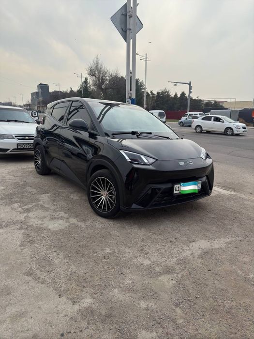 Byd seagull sotiladi toza