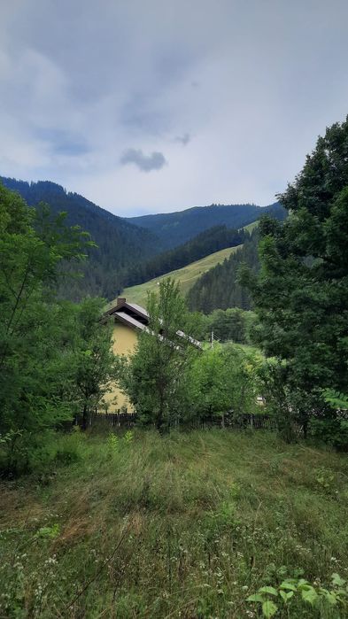Teren  1015 mp ,sat  Savinesti, jud.Neamt,  Valea  Bistriței